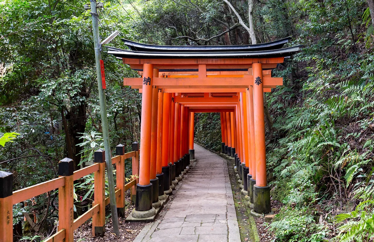 Red torii gates lining a stone path through a green forest at Fushimi Inari shrine in Kyoto